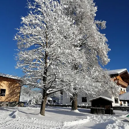 Schuettbachhof * Flachau