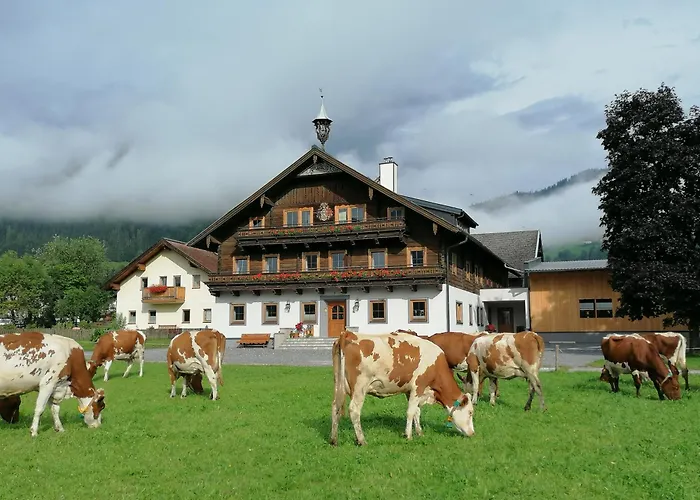 Schüttbachhof * Flachau