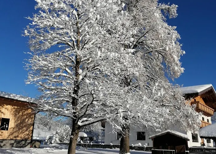 Schüttbachhof * Flachau
